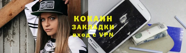 шишки Абинск