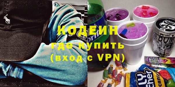 шишки Алзамай