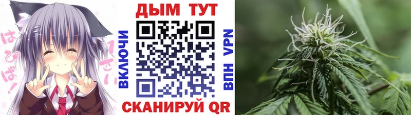 где купить   MEGA ссылки  Шишки марихуана планчик  Тобольск 